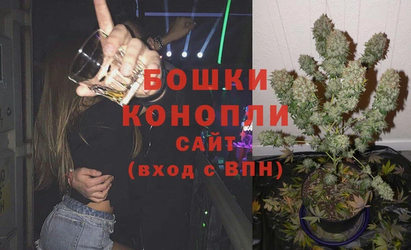 сатива Пересвет